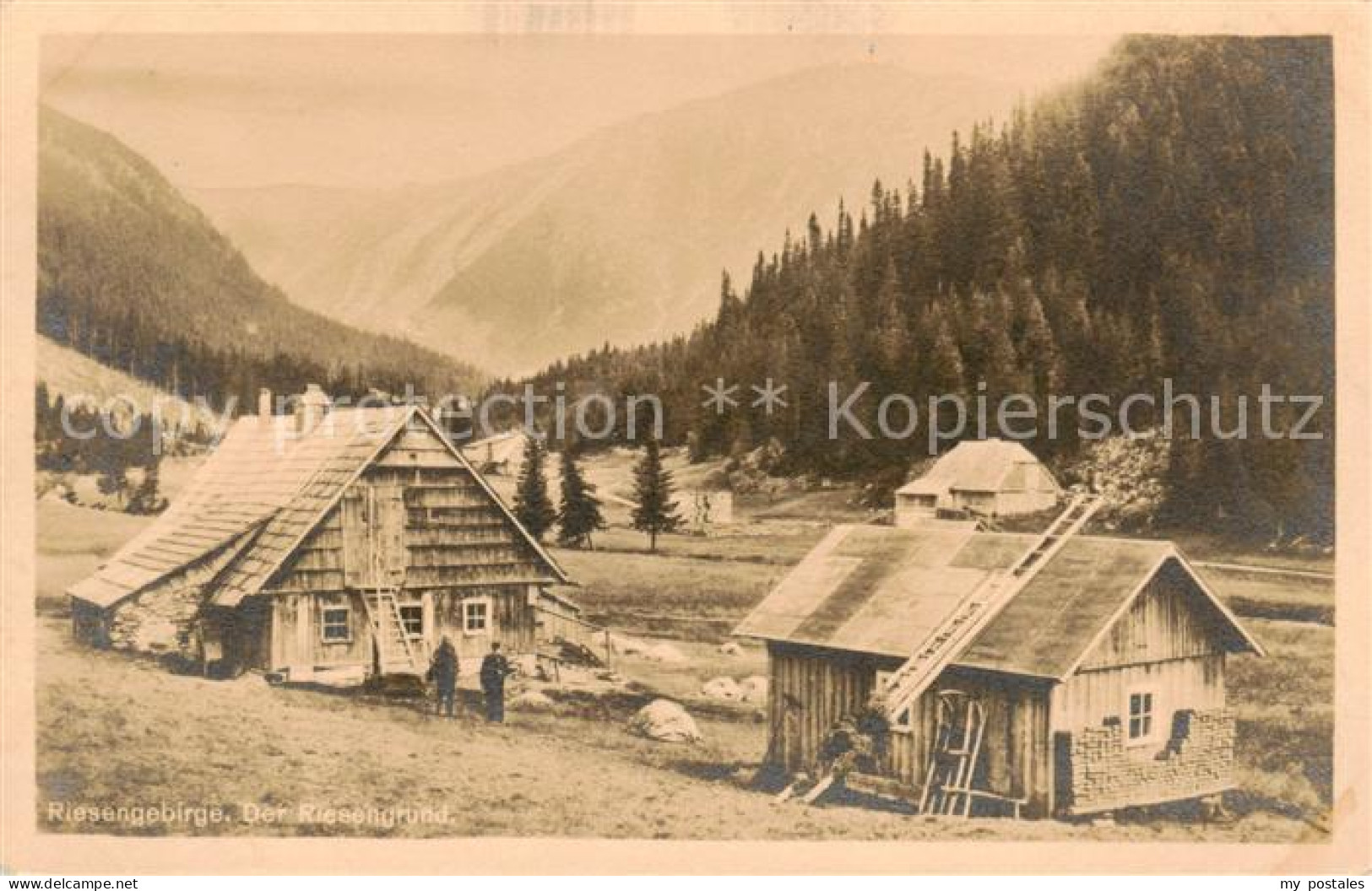 73819795 Riesengebirge_Krkonose_Karkonosze Der Riesengrund - Tchéquie