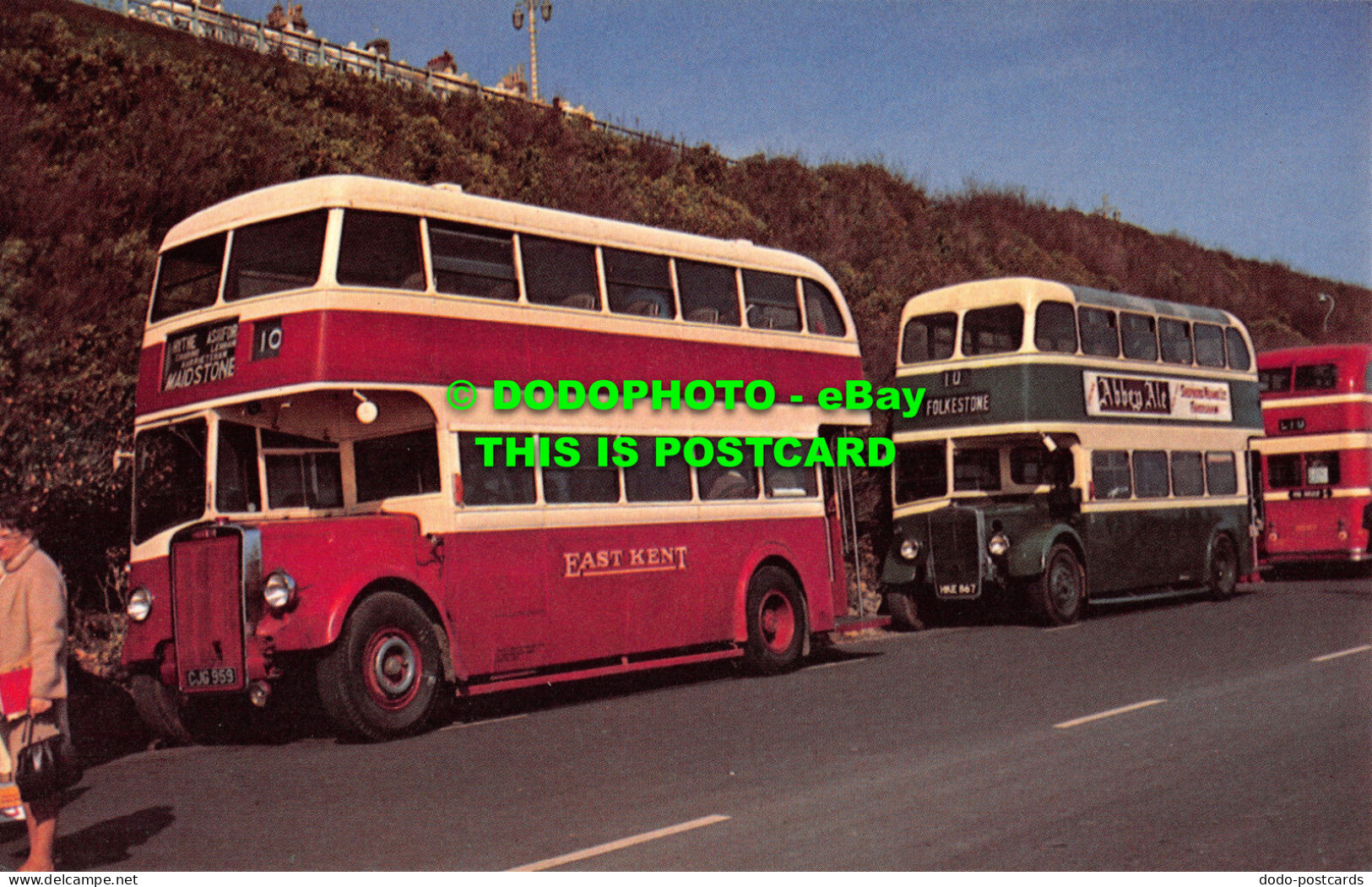 R523962 East Kent CJG. 959. And Maidstone District DH. 159. 1947. Leyland PD. 1. - World