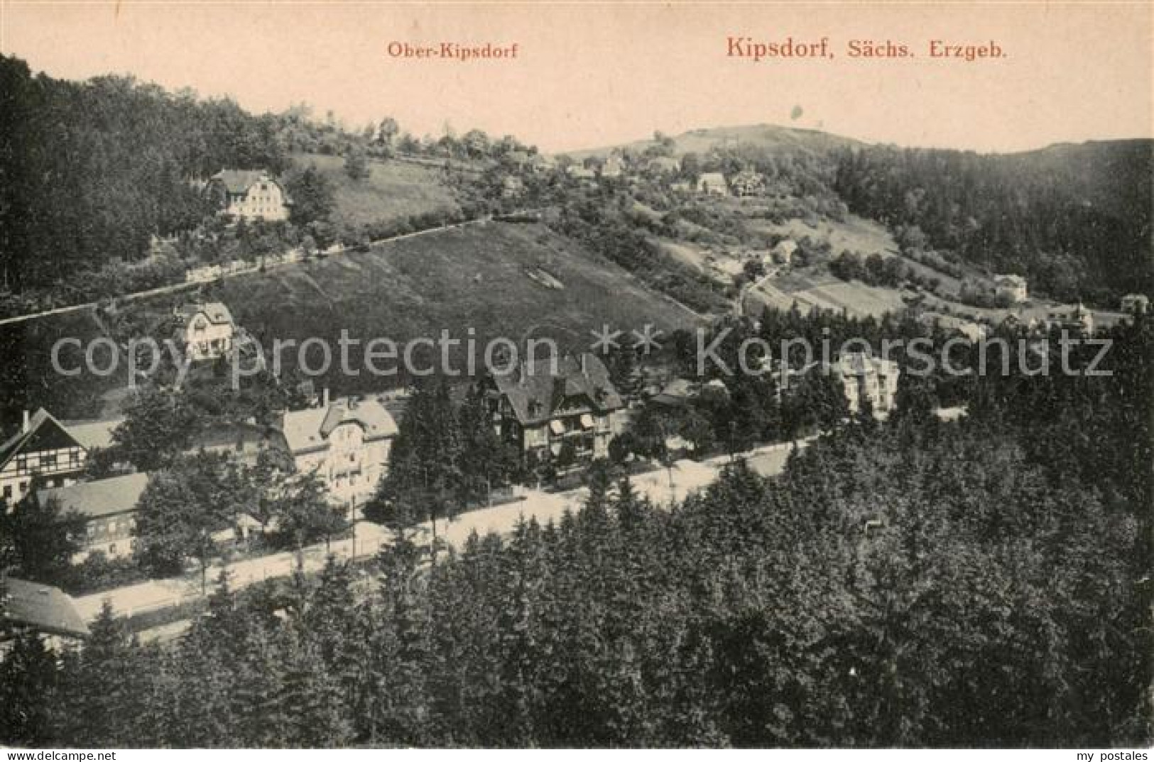 73819340 Kipsdorf Altenberg Panorama Mit Oberkipsdorf  - Altenberg