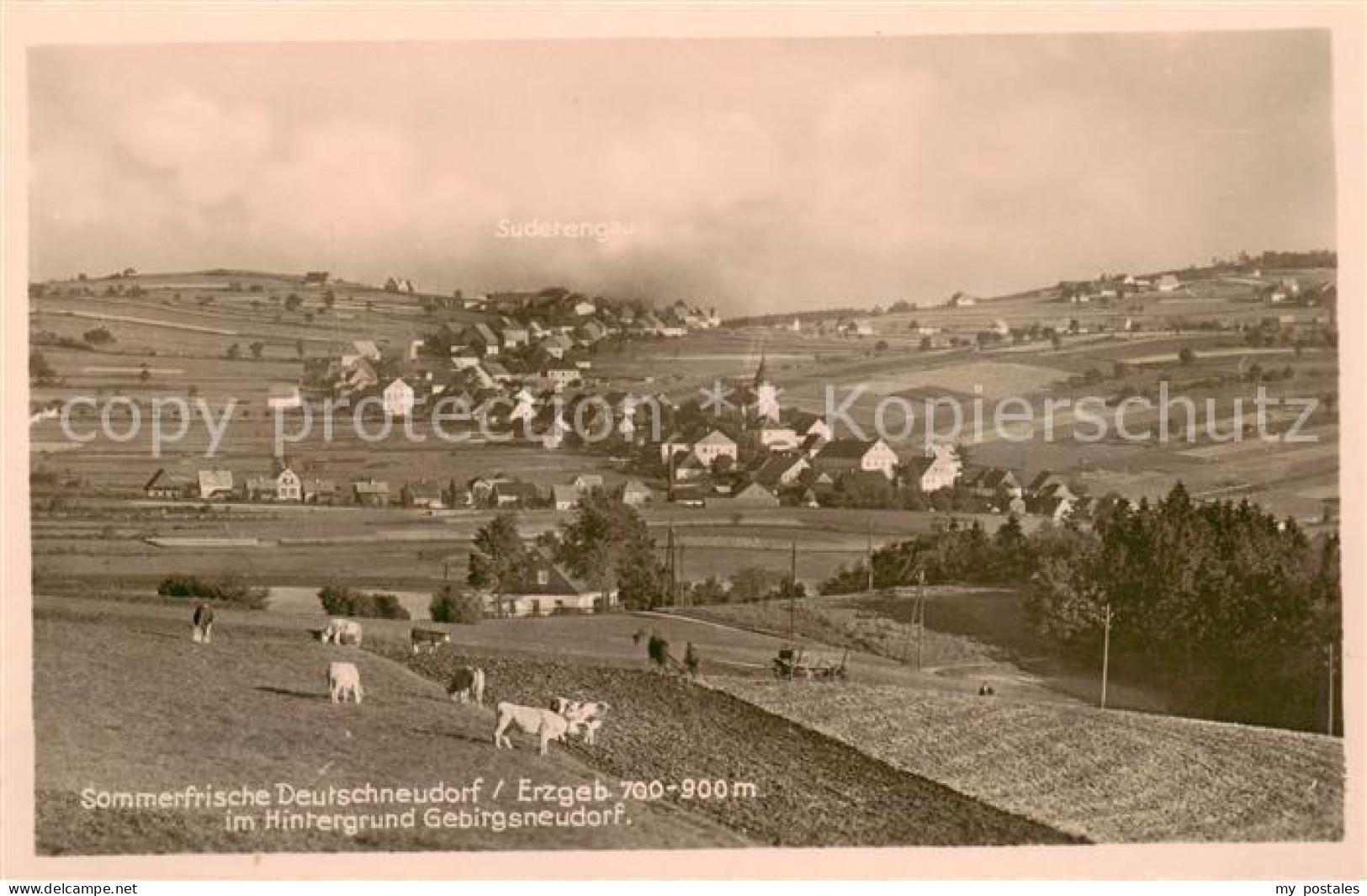 73819266 Deutschneudorf Erzgebirgskreis Panorama Mit Gebirgsneudorf  - Deutschneudorf