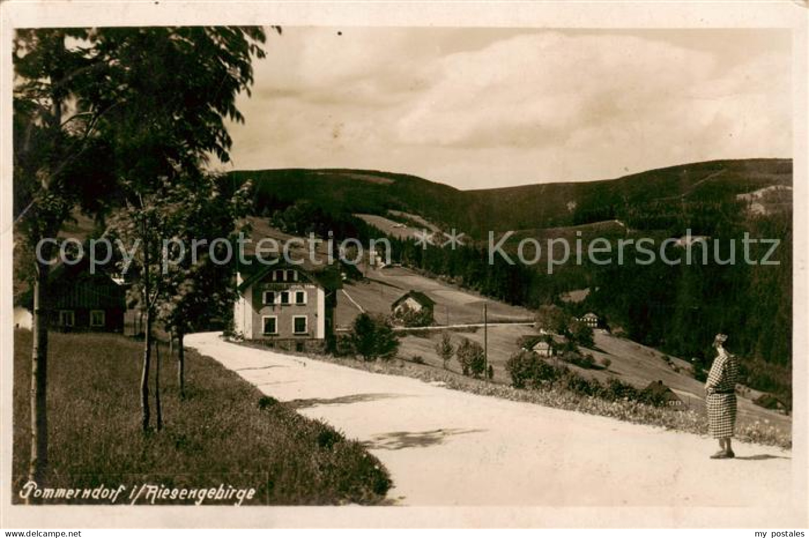 73819264 Pommerndorf Riesengebirge PL Panorama  - Poland