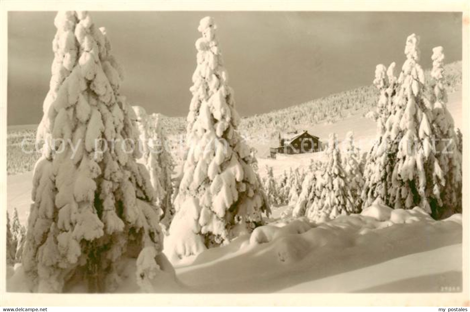 73819001 Riesengebirge_Krkonose_Karkonosze Keilbaude Im Winter - Czech Republic