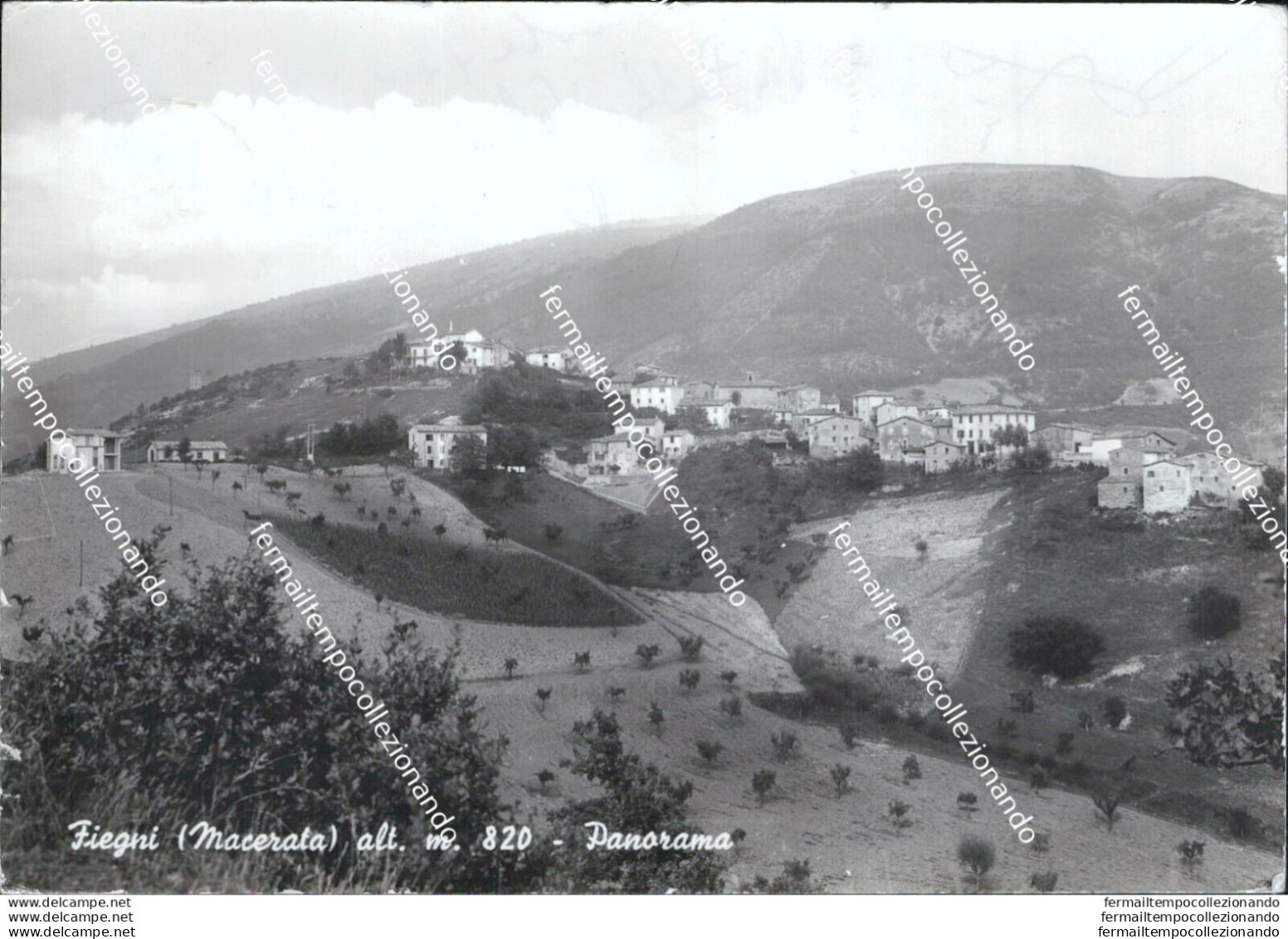 At394 Cartolina Fiegni Panorama Provincia Di Macerata - Macerata