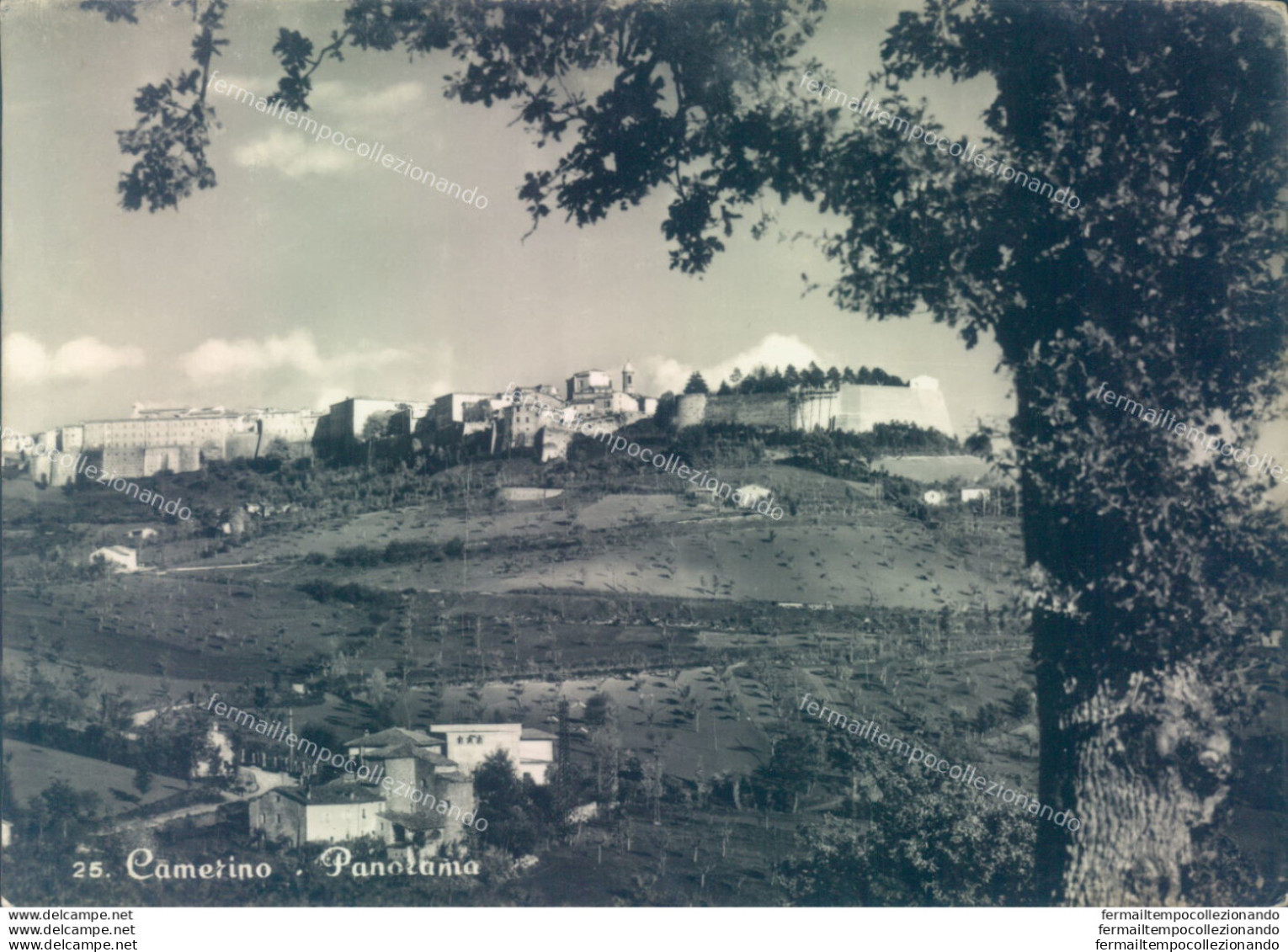 U176 Cartolina Camerino Panorama Provincia Di Macerata - Macerata