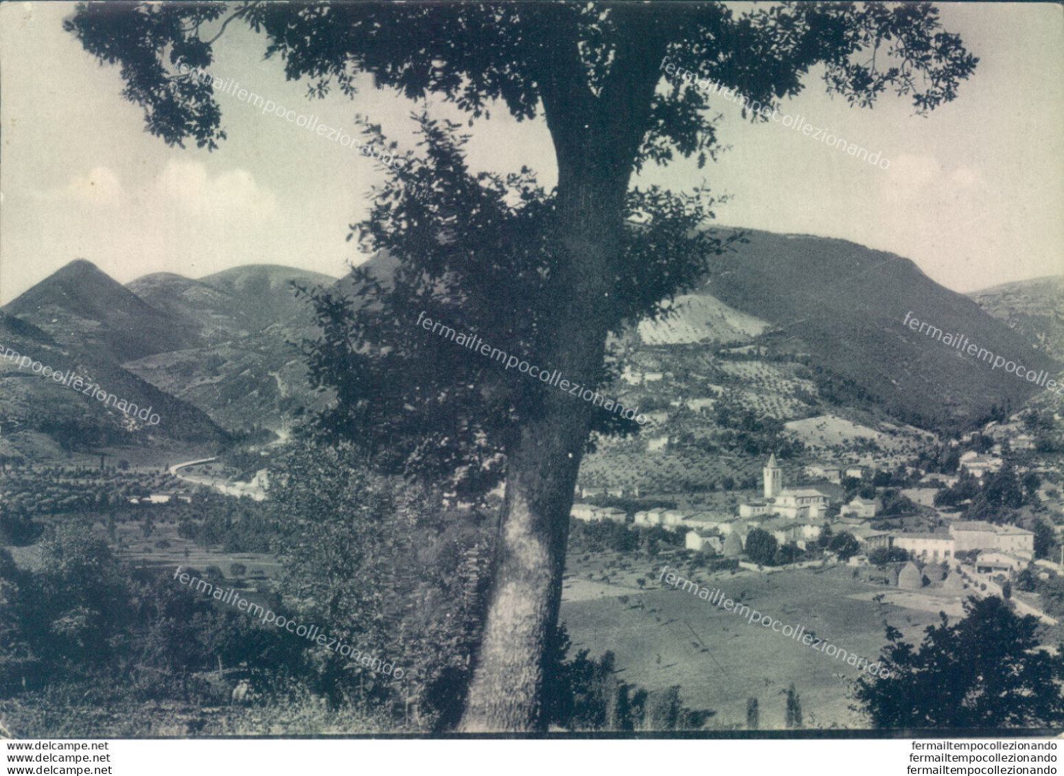 U156 Cartolina Pievetorina Panorama Del Colle Antico Provincia Di Macerata - Macerata