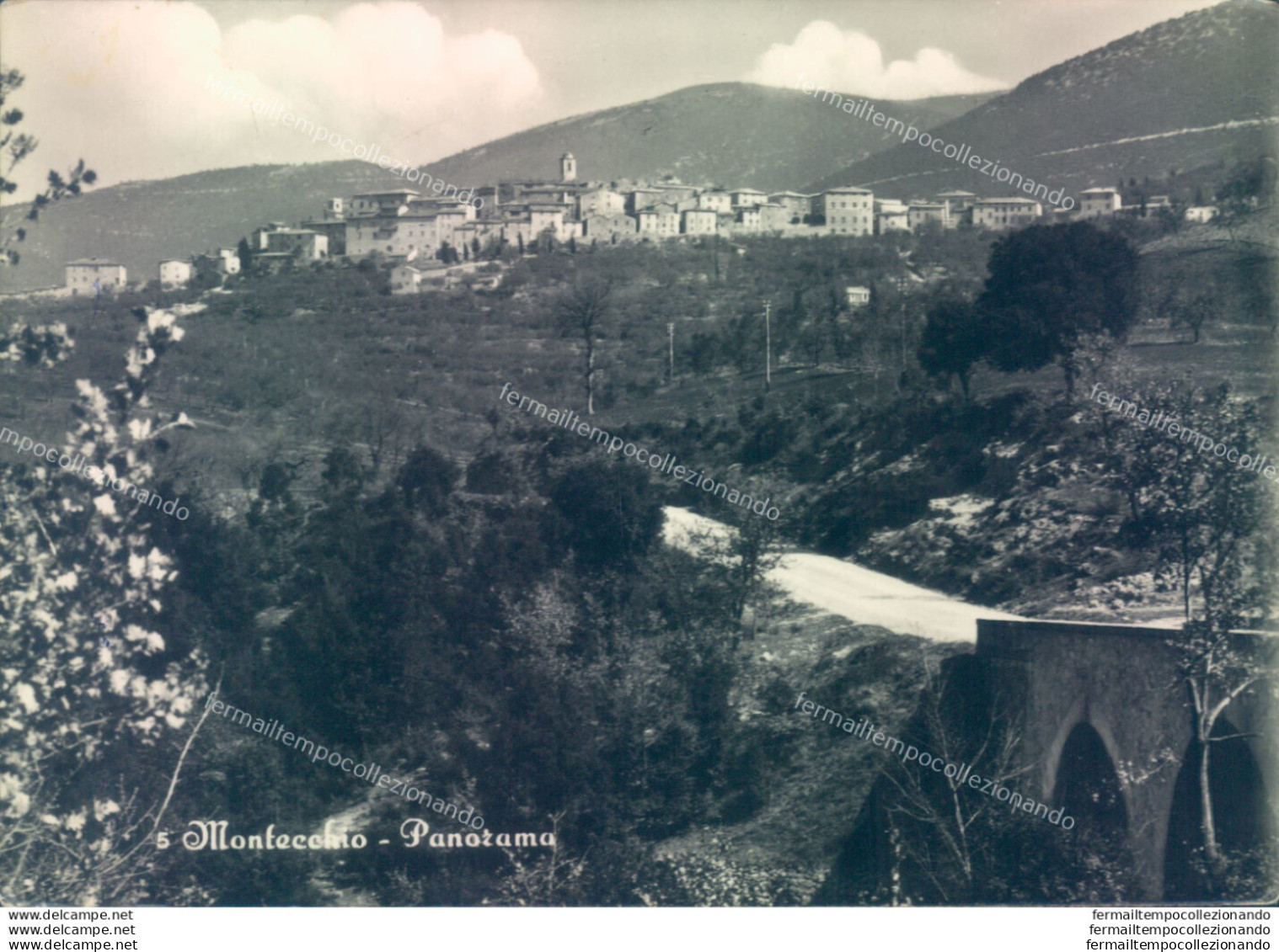 U113 Cartolina Montecchio Panorama Provincia Di Terni - Terni