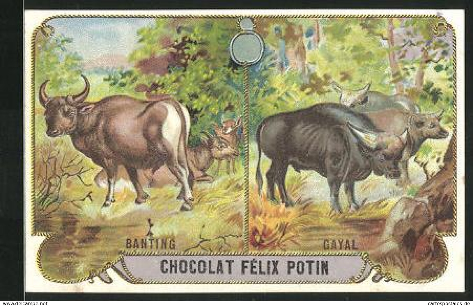 Sammelbild Chocolat Félix Potin, Banting Et Gayal  - Otros & Sin Clasificación