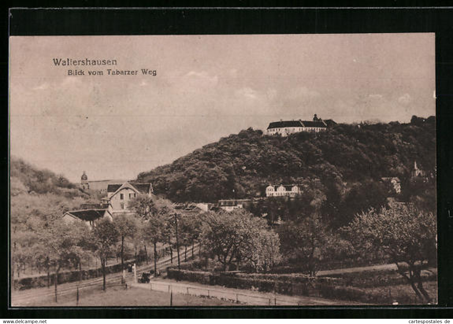 AK Waltershausen I. Thür., Blick Vom Tabarzer Weg  - Waltershausen