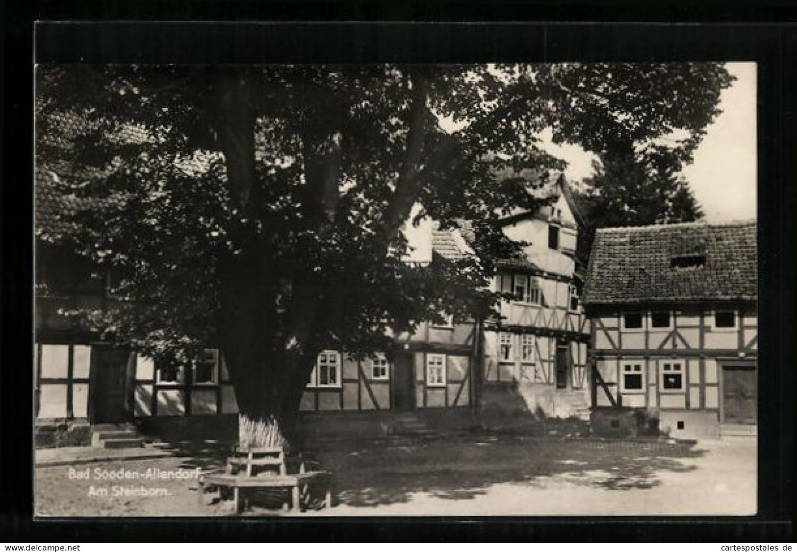 AK Bad Sooden-Allendorf, Strassenpartie Am Steinborn  - Bad Sooden-Allendorf