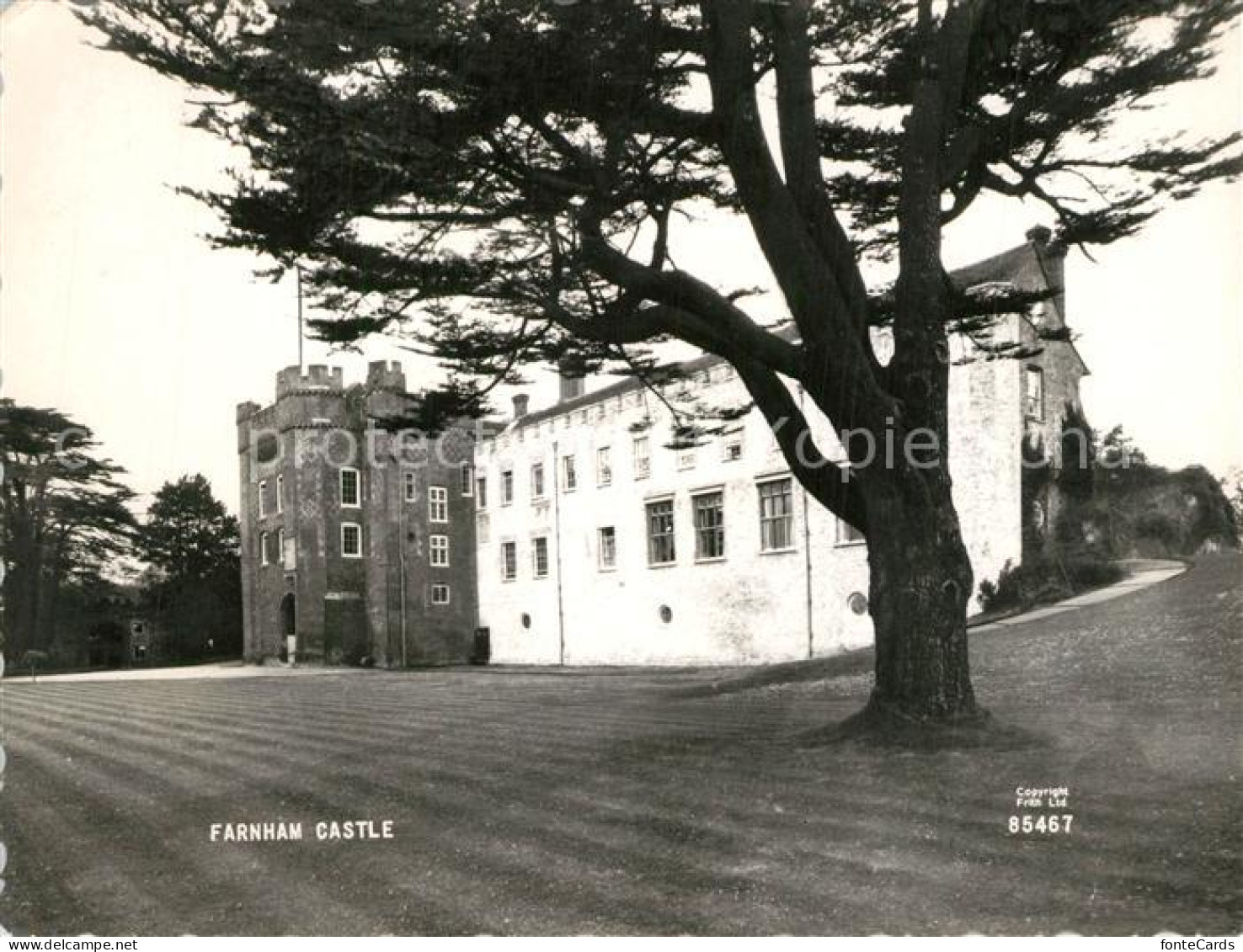73522819 Farnham Farnham Castle  - Surrey