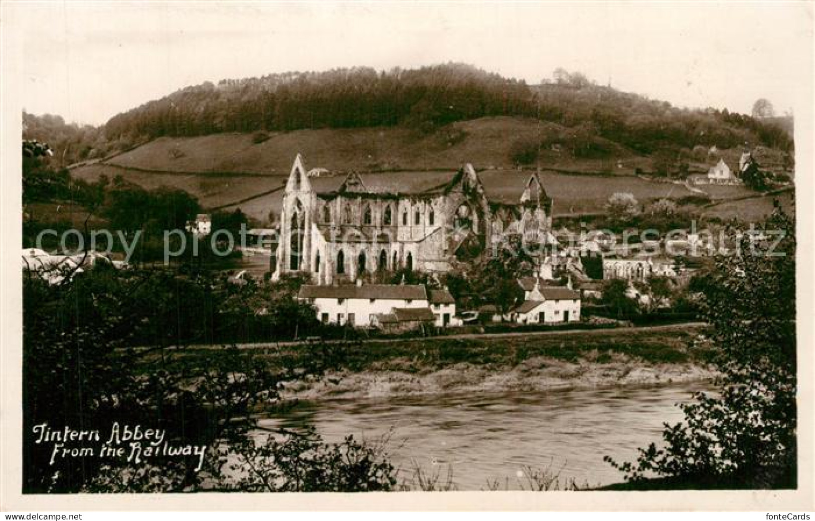 73522478 Tintern Abbey Tintern - Altri & Non Classificati