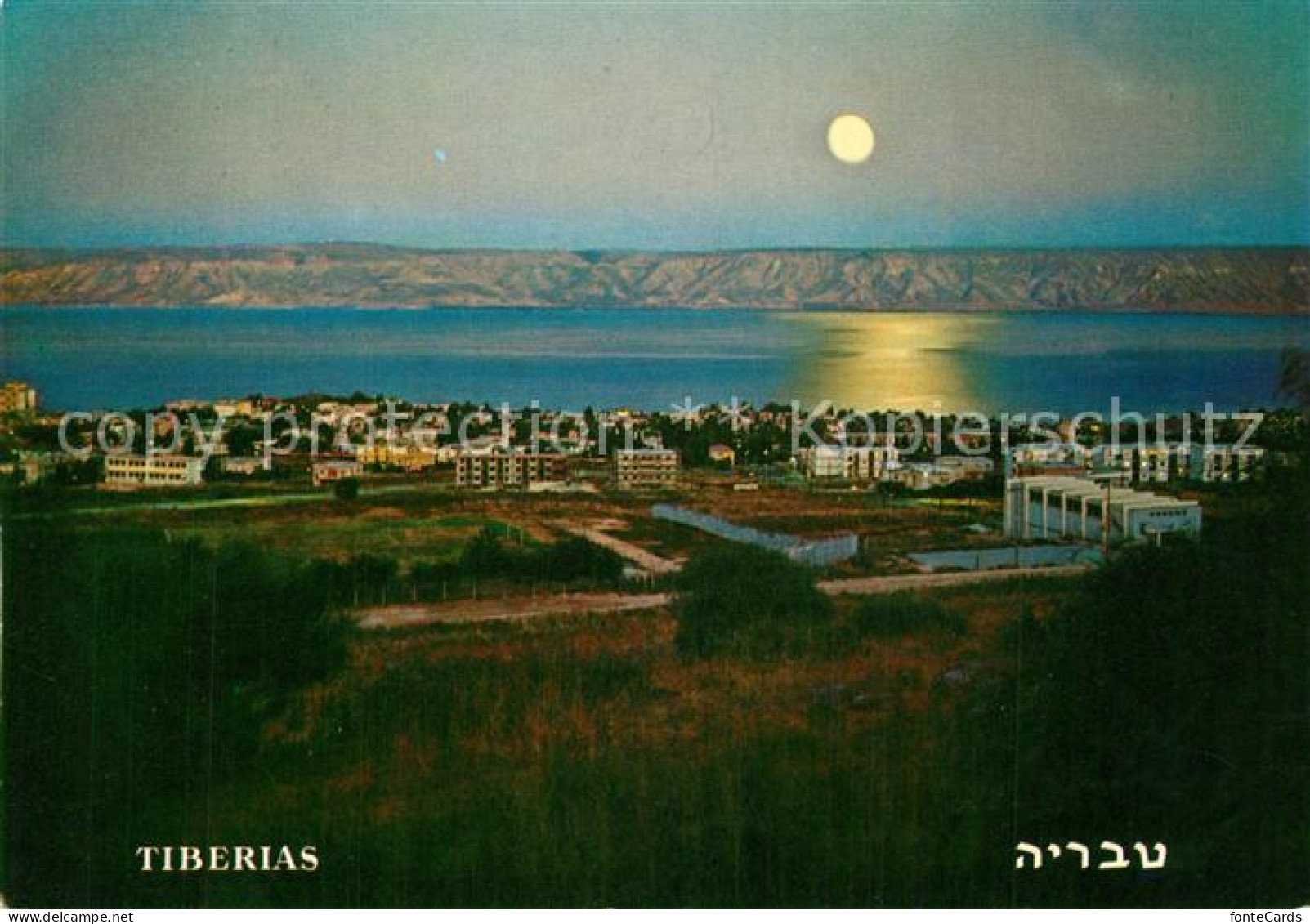 73522399 Tiberias Panorama Lake Of Galilee Golan Mountains At Moon Light Tiberia - Israel