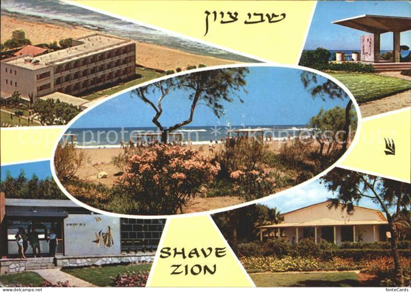 72244802 Israel Shave Zion Israel - Israël