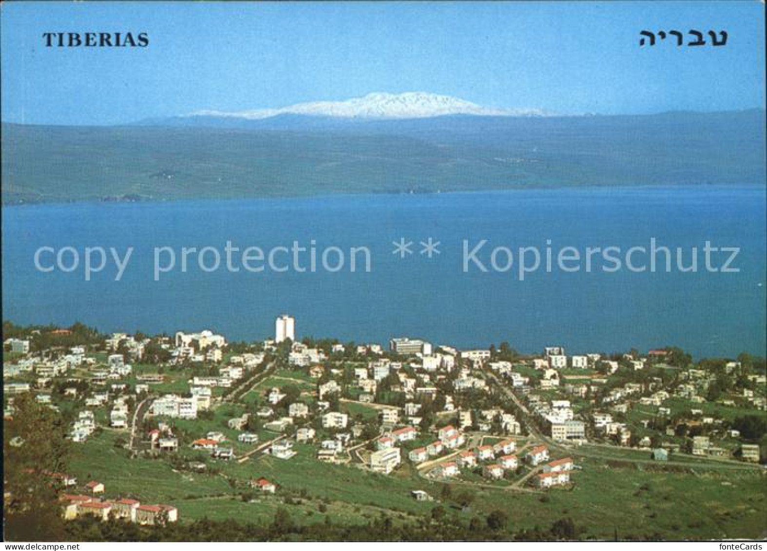 72239977 Tiberias Lake Galilee Mt. Hermon  Tiberias - Israel