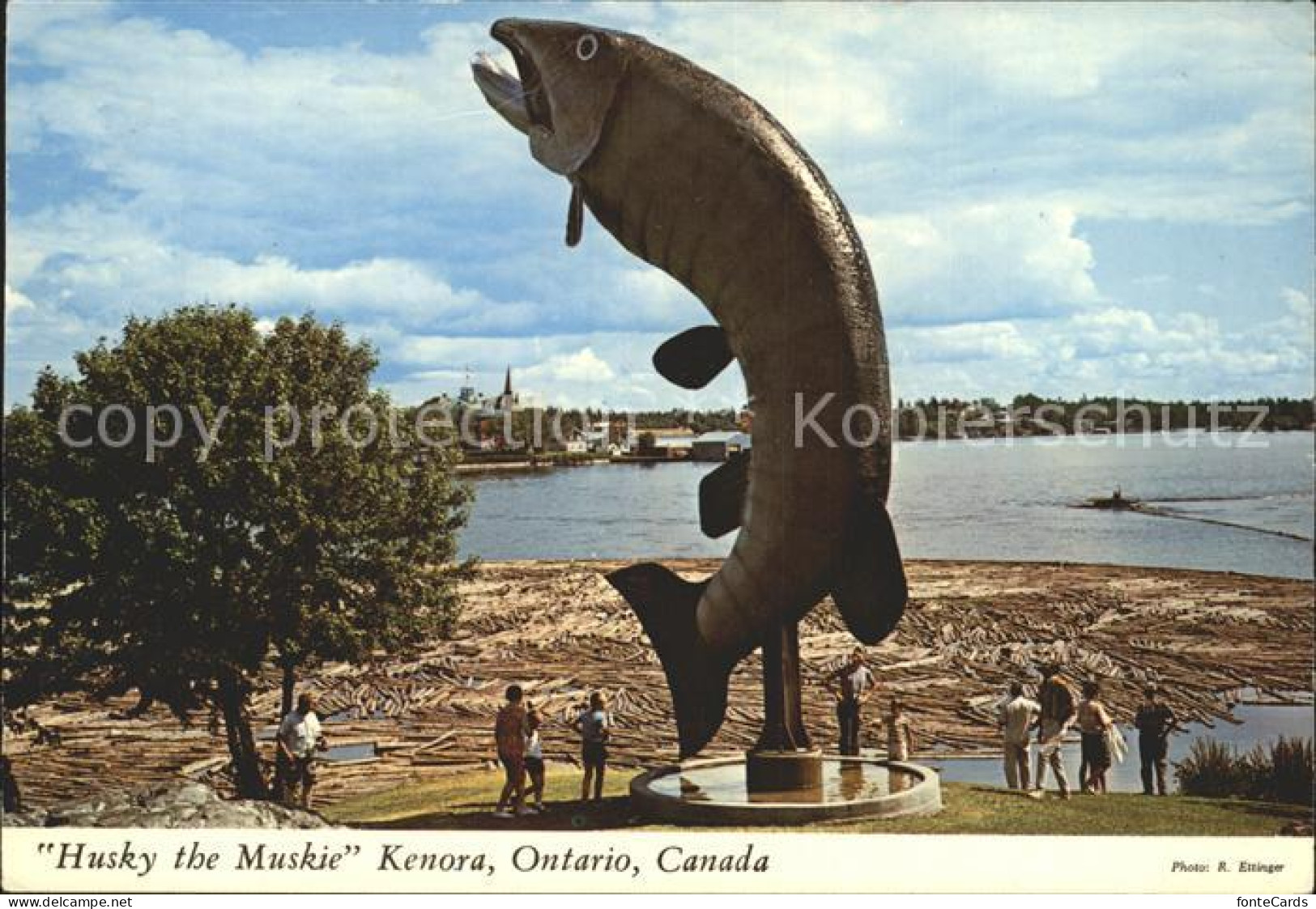 72238666 Kenora Husky The Muskie World S Largest Fish McLeods Park Lake Of The W - Unclassified