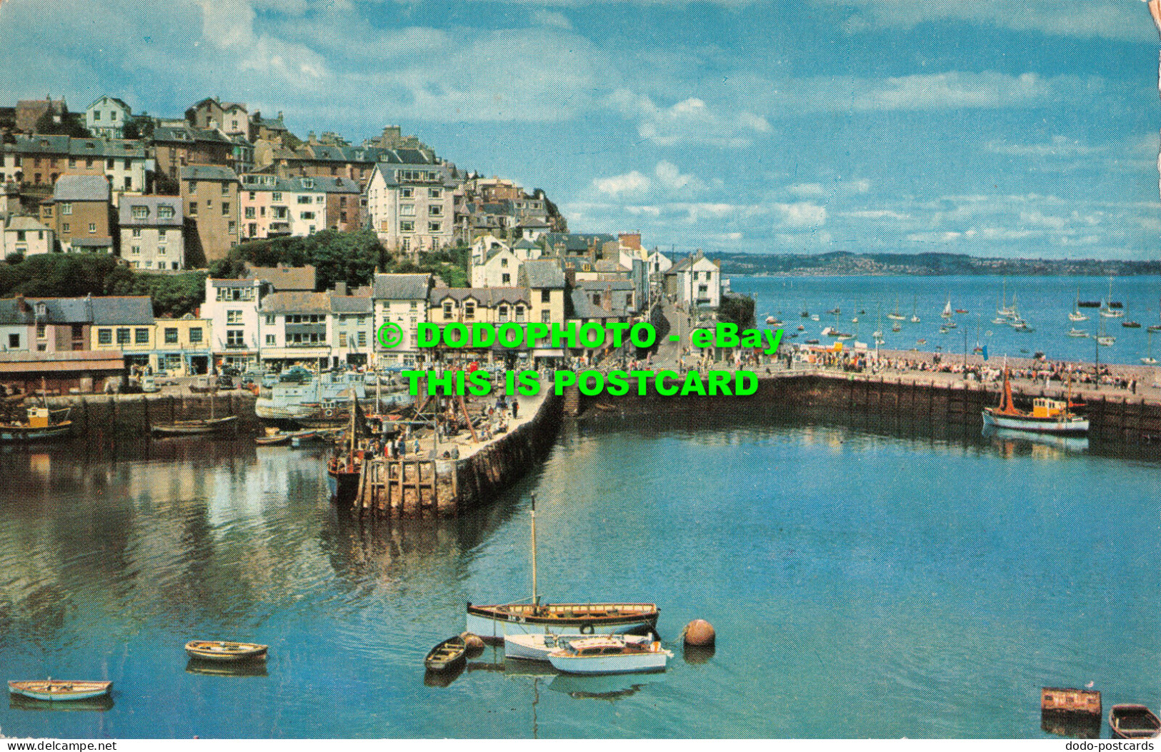 R524014 Middle Quay. Brixham. Dennis - World