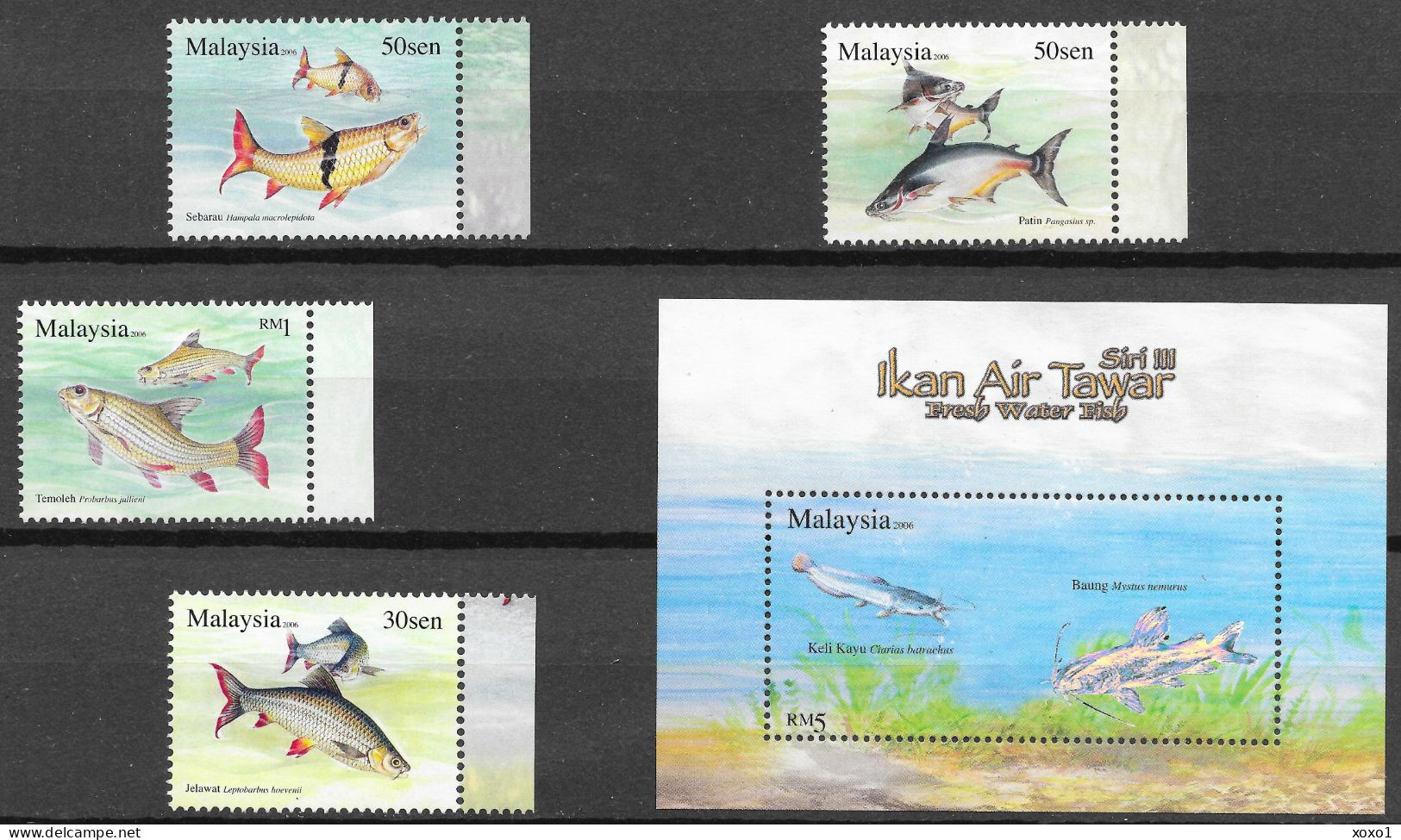 Malaysia 2006 MiNr. 1386 - 1390 (Block 109) Freshwater Fish  4v + S\sh  MNH**   7.30 € - Maleisië (1964-...)