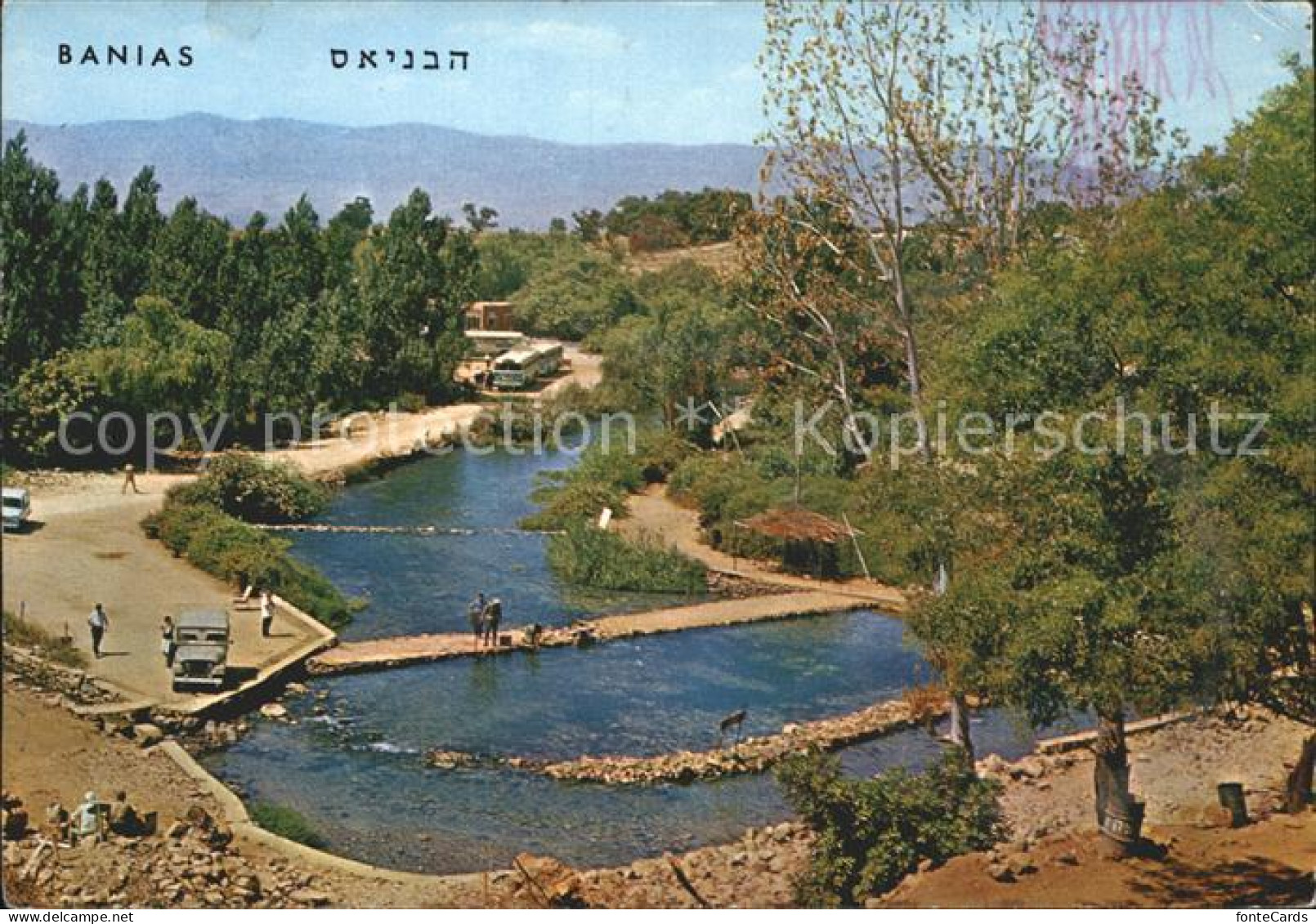 72231367 Banias Banyas Banjas  Banias Banyas Banjas - Israel