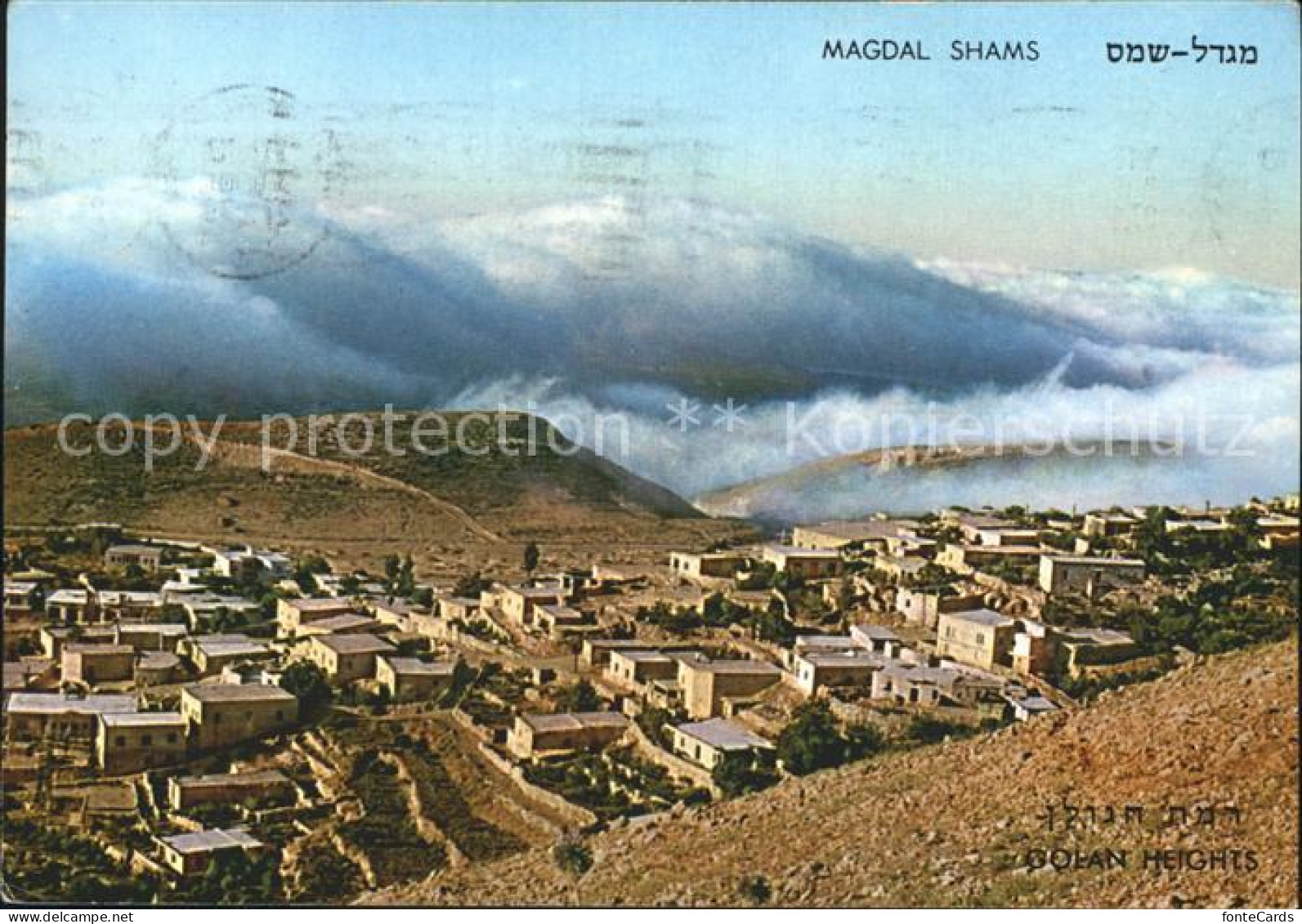 72231365 Magdal Shams Mount Hermon Magdal Shams - Israël