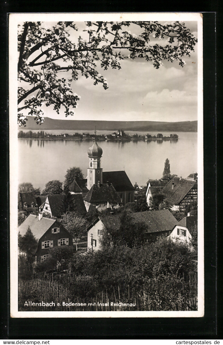 AK Allensbach, Ortsansicht Mit Insel Reichenau  - Sonstige & Ohne Zuordnung