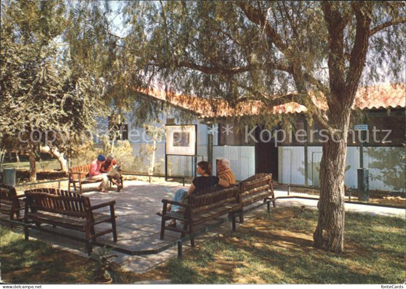 72231354 Kibbutz Residence Of Be Gurion Kibbutz - Israel