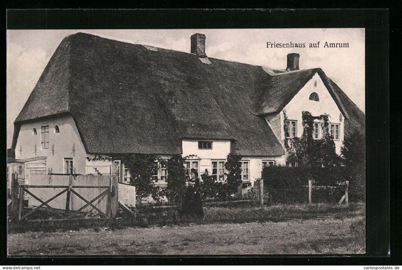 AK Amrum, Blick Auf Das Friesenhaus  - Altri & Non Classificati