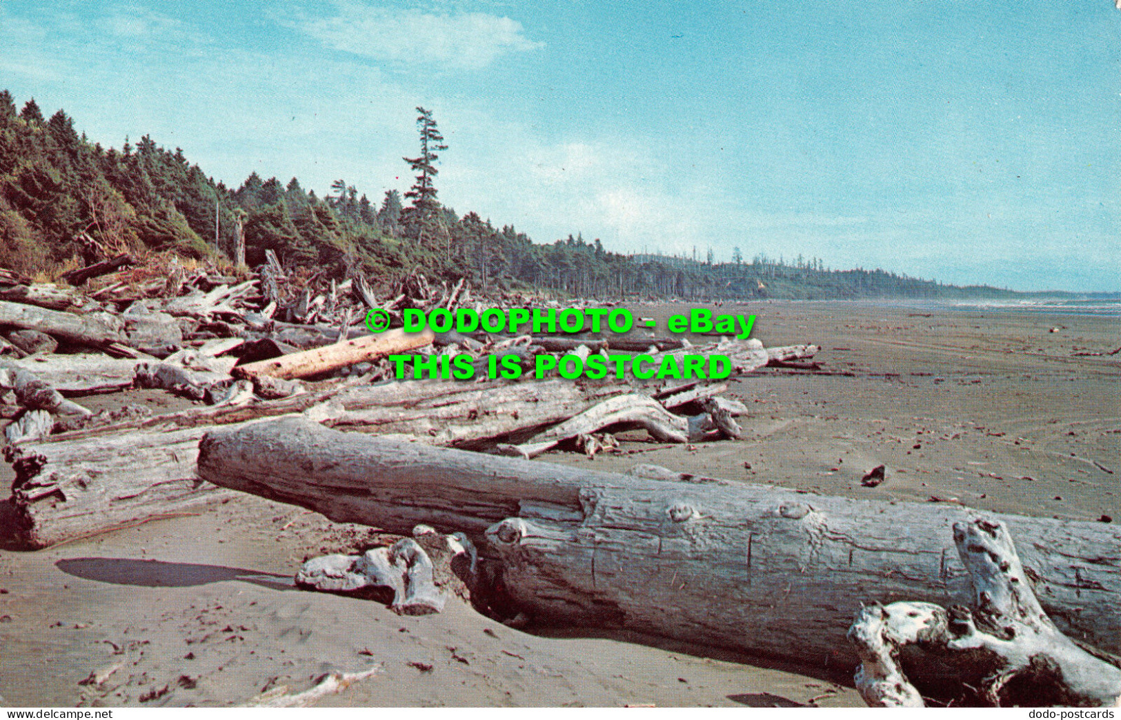 R524160 Driftwood. Smith Western. Plastichrome. Colourpicture Publishers. Kyle S - Welt