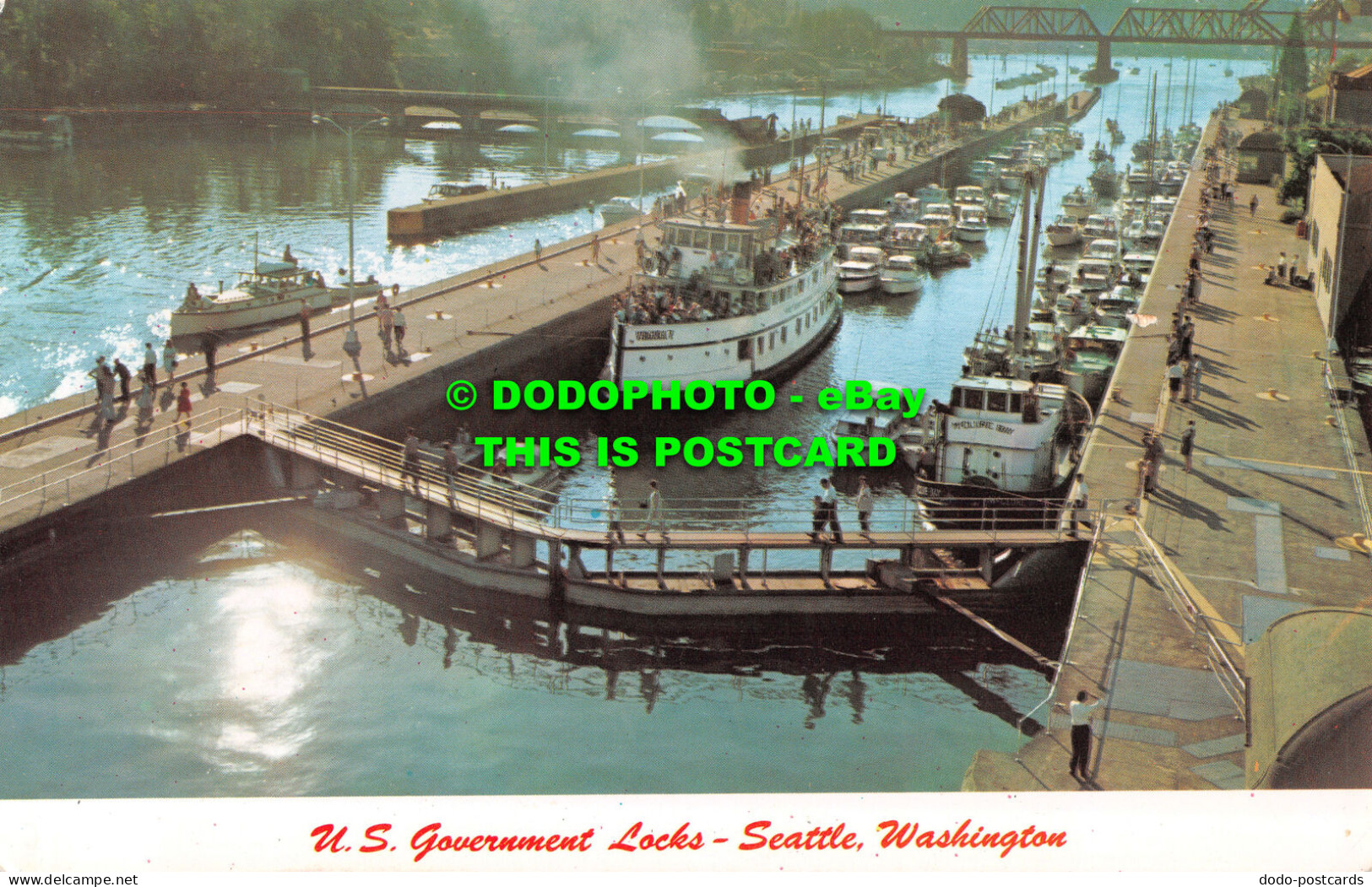 R524162 U. S. Government Locks. Seattle. Washington. C15229. Max R. Jensen. Mike - Welt