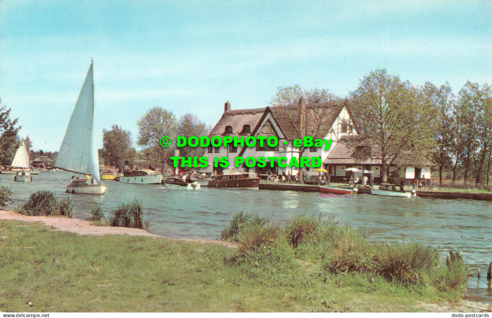 R524183 The River Bure At Horning Ferry. Norfolk Broads. PT13851 - Welt