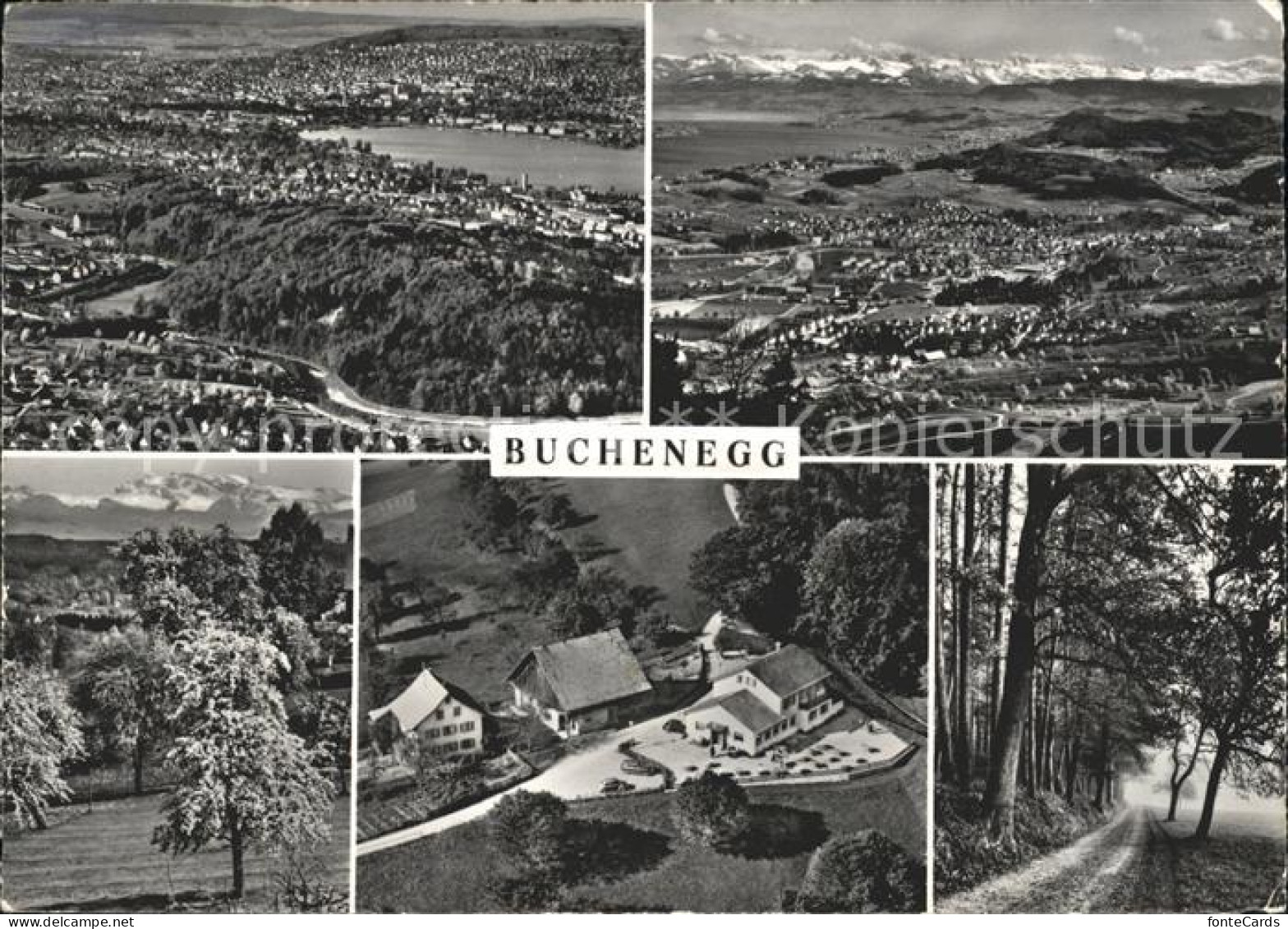 41625667 Buchenegg Stallikon ZH Totalansicht Bergrestaurant Buchenegg  - Otros & Sin Clasificación