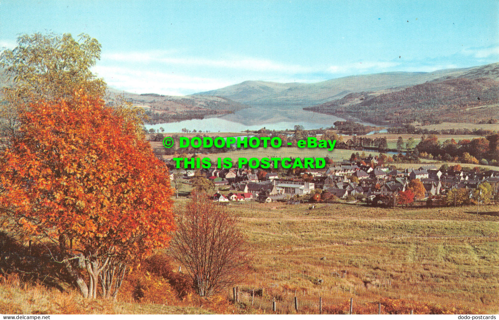 R524270 Loch Tay From Above Killin. PT35876 - World