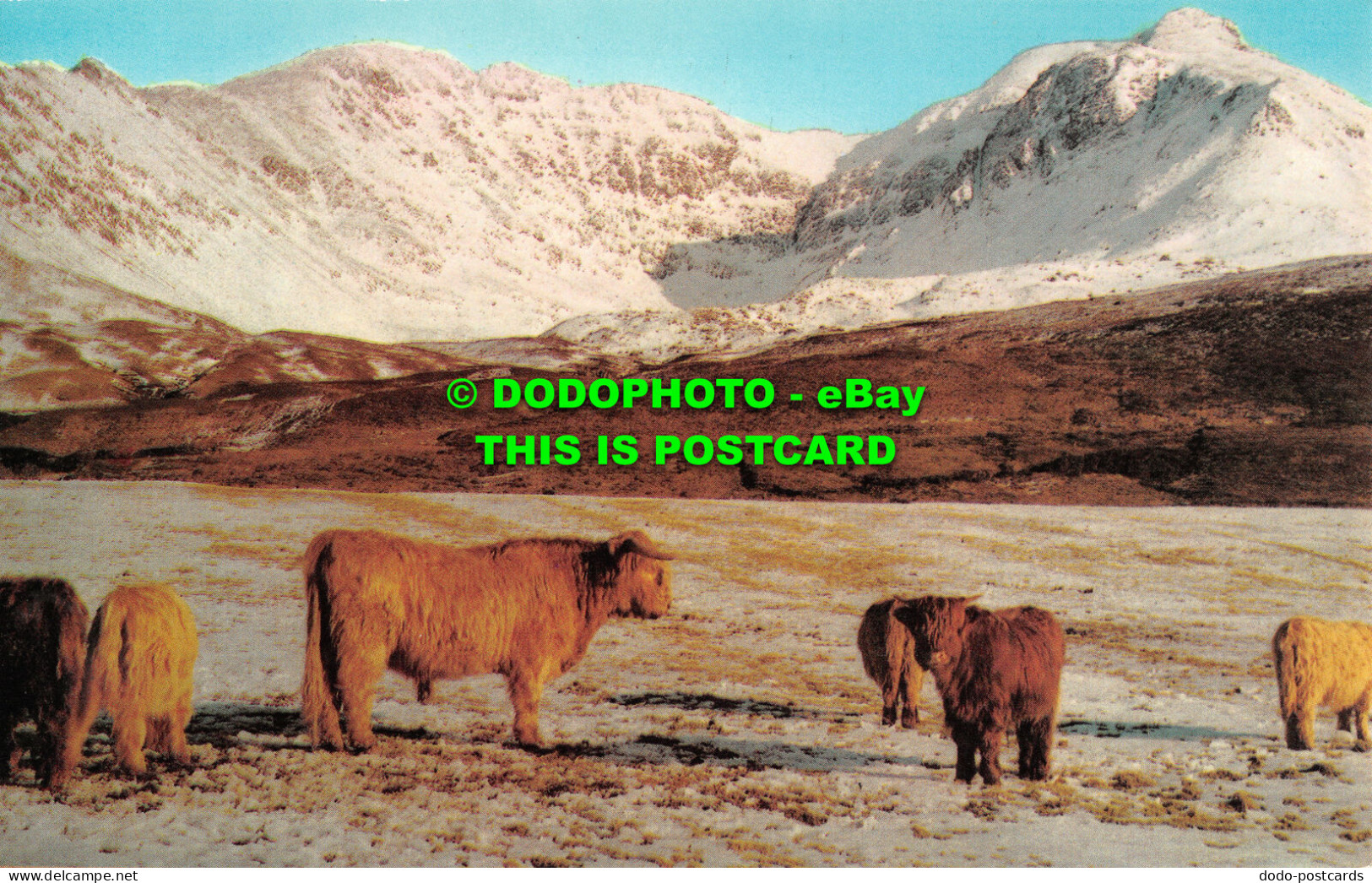 R524293 The Cuillin Hills From Glen Brittle. Isle Of Skye. PT36379 - Welt