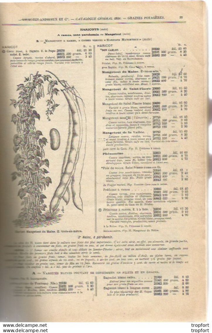 M12 Cpa / Superbe CATALOGUE VILMORIN-ANDRIEUX 1934 Graines Légumes Fleurs Plantes 200 Pages !!! Jardinage - Werbung