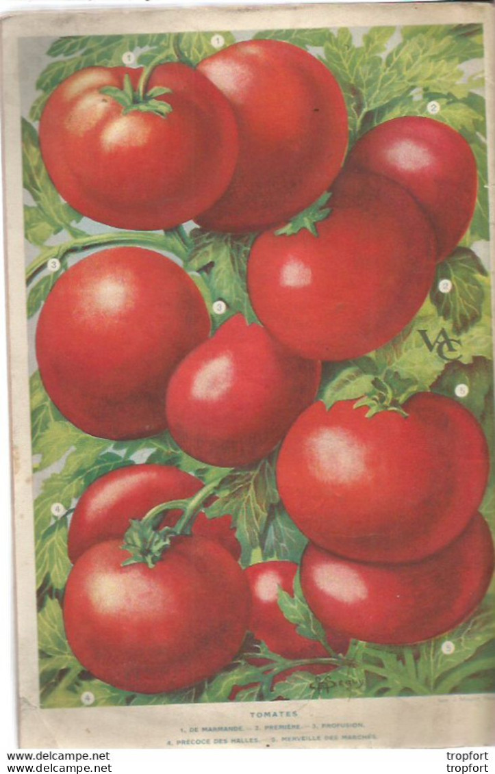 M12 Cpa / Superbe CATALOGUE VILMORIN-ANDRIEUX 1934 Graines Légumes Fleurs Plantes 200 Pages !!! Jardinage - Werbung