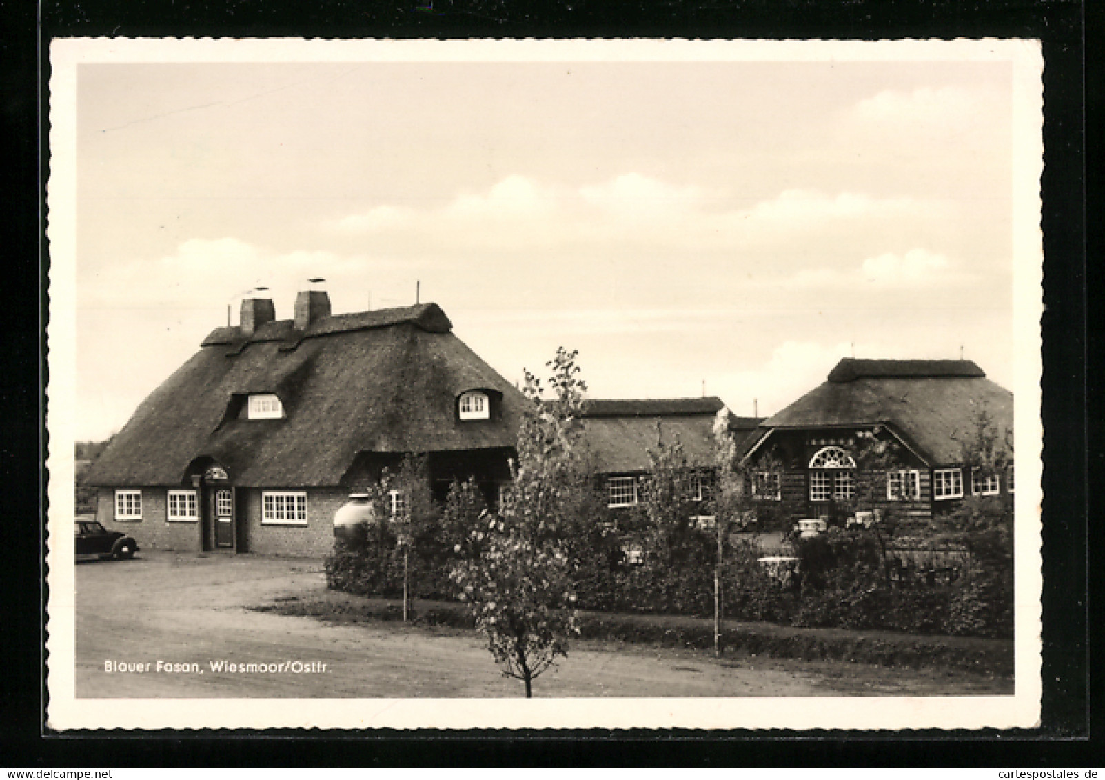 AK Wiesmoor / Ostfr., Gasthaus Blauer Fasan  - Wiesmoor