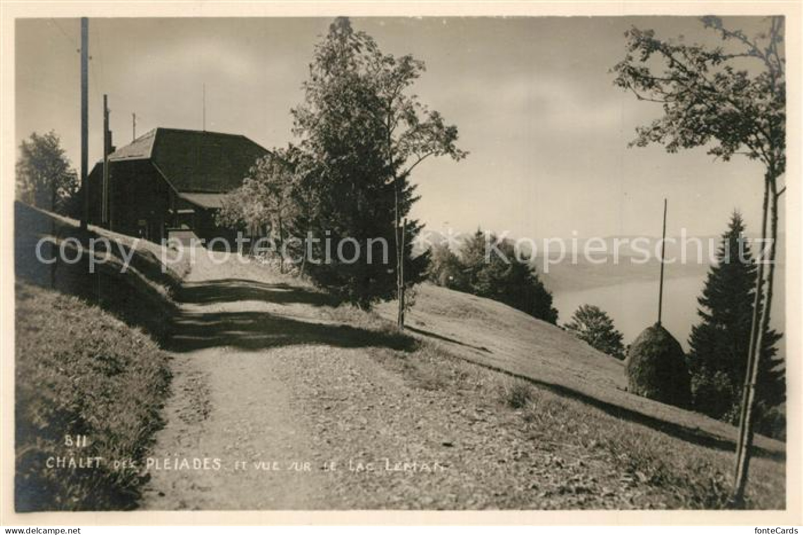 13299718 Lac Leman Genfersee Chalet Des Pleiades  Lac Leman Genfersee - Autres & Non Classés