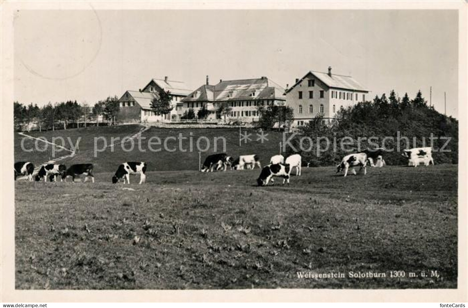 13299082 Solothurn Kurhaus Weissenstein Solothurn - Autres & Non Classés