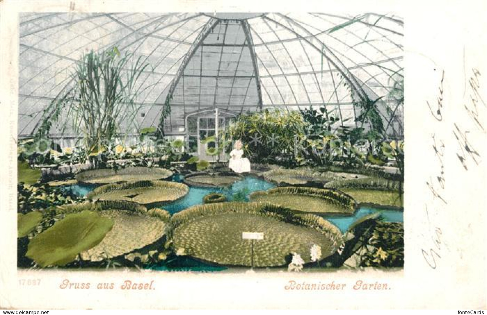 13298393 Basel BS Botanischer Garten Basel BS - Altri & Non Classificati