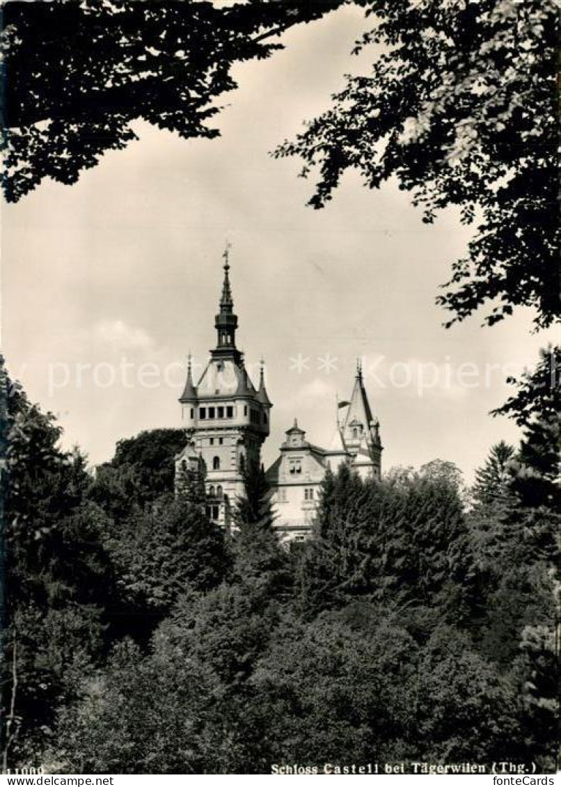 13298141 Taegerwilen Schloss Castell Taegerwilen - Other & Unclassified