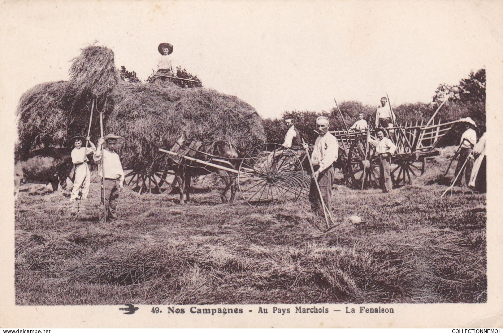 NOS CAMPAGNES Au Pays MARCHOIS ,,la Fenaison - Otros & Sin Clasificación