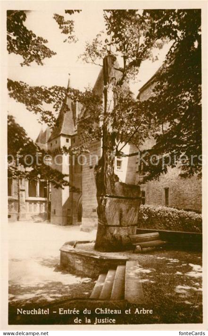 13297821 Neuchatel NE Entree Du Chateau Et Arbre De La Justice Neuchatel NE - Autres & Non Classés