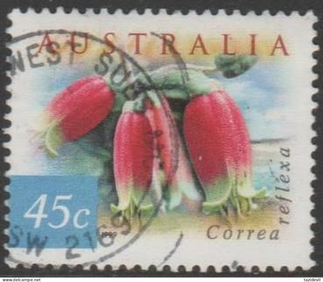 AUSTRALIA - USED 1999 45c Coastal Flowers - Correa Reflexa - Oblitérés