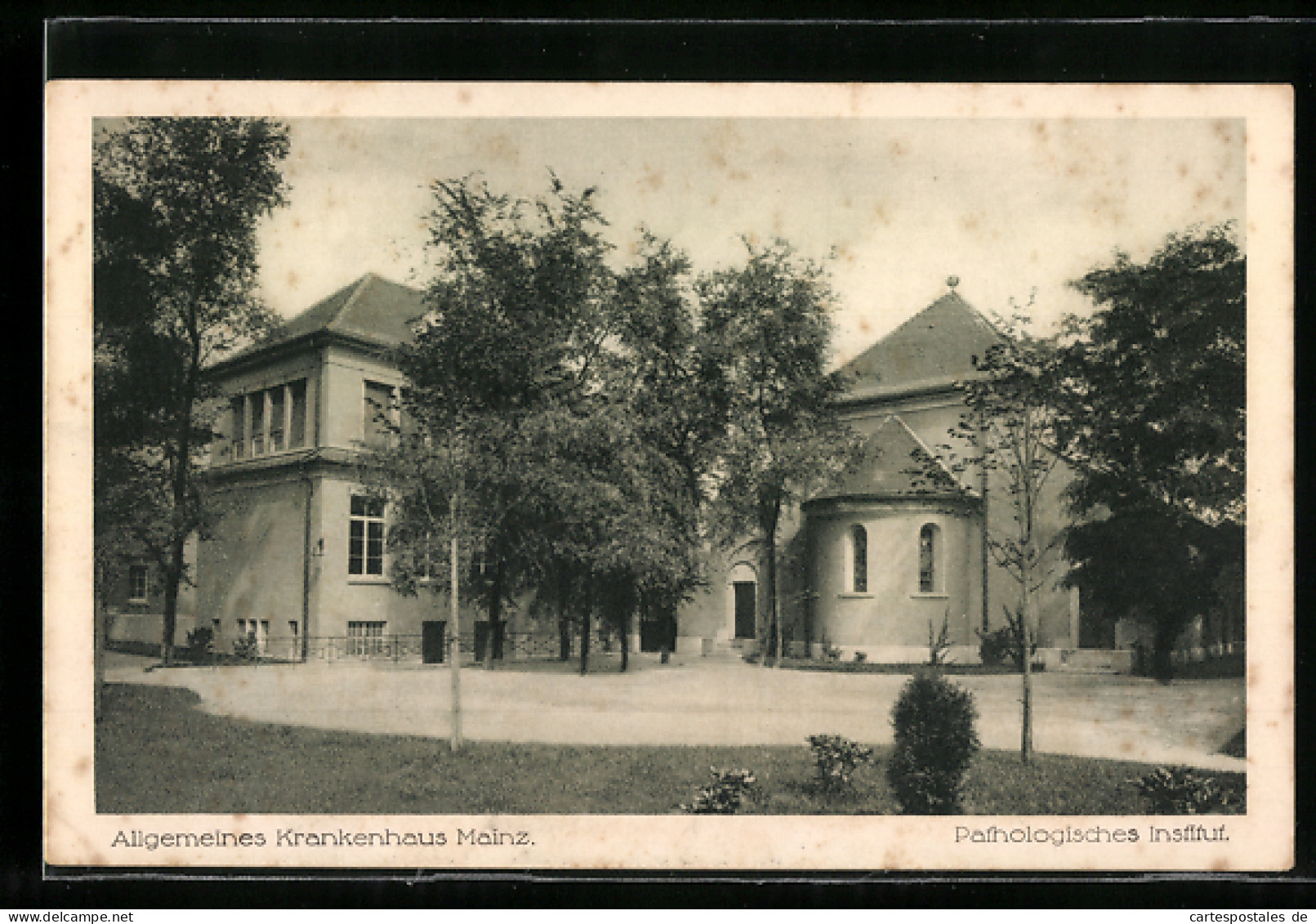 AK Mainz, Allgemeines Krankenhaus, Pathologisches Institut  - Mainz