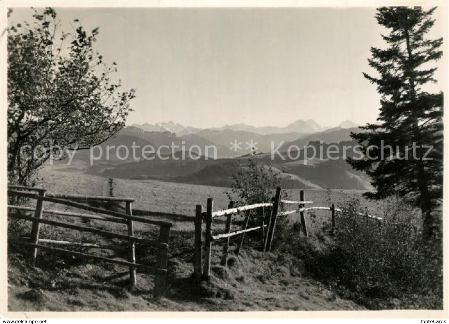 13297468 Menzberg Alp Oberlehn Landschaftspanorama Alpen Menzberg - Autres & Non Classés