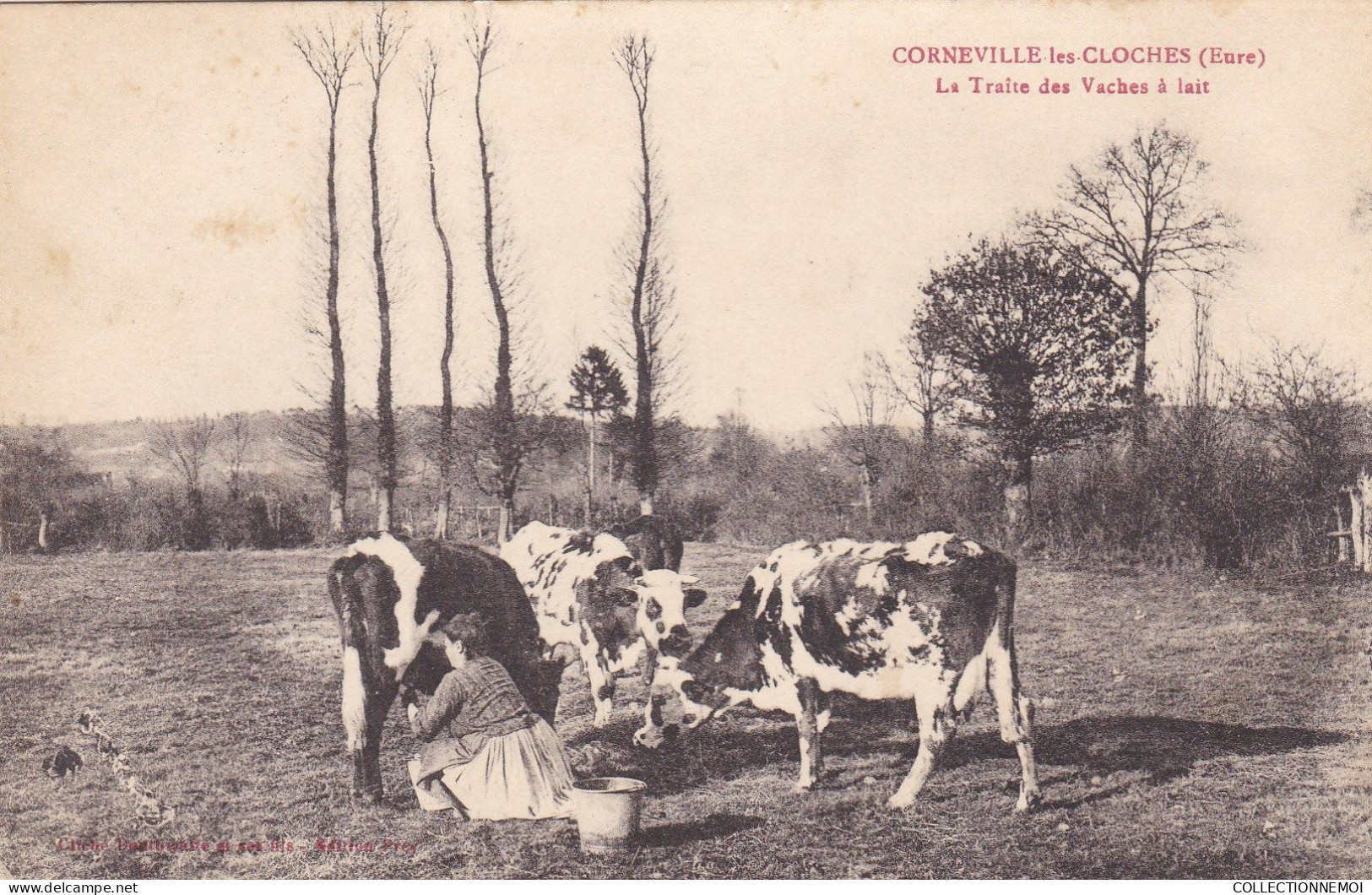 CORNEVILLE LES CLOCHES    ,,la Traite Des Vaches à Lait - Autres & Non Classés