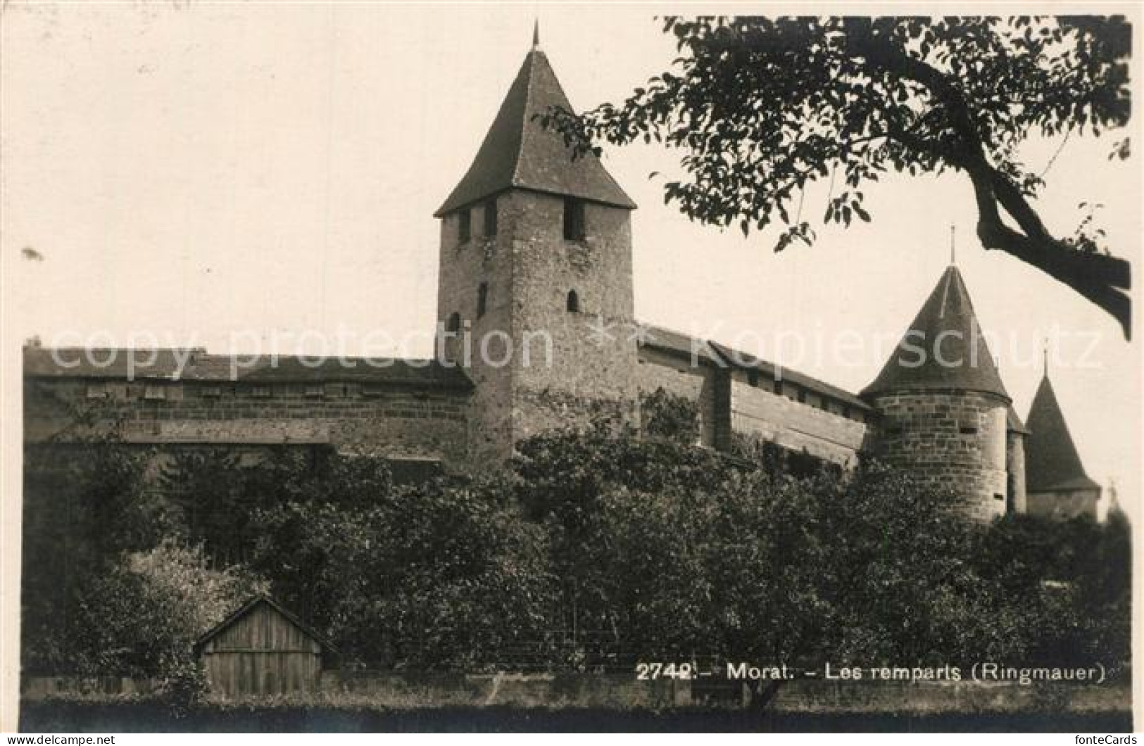 13297134 Morat Murten Les Ramparts Ringmauer Morat Murten - Other & Unclassified