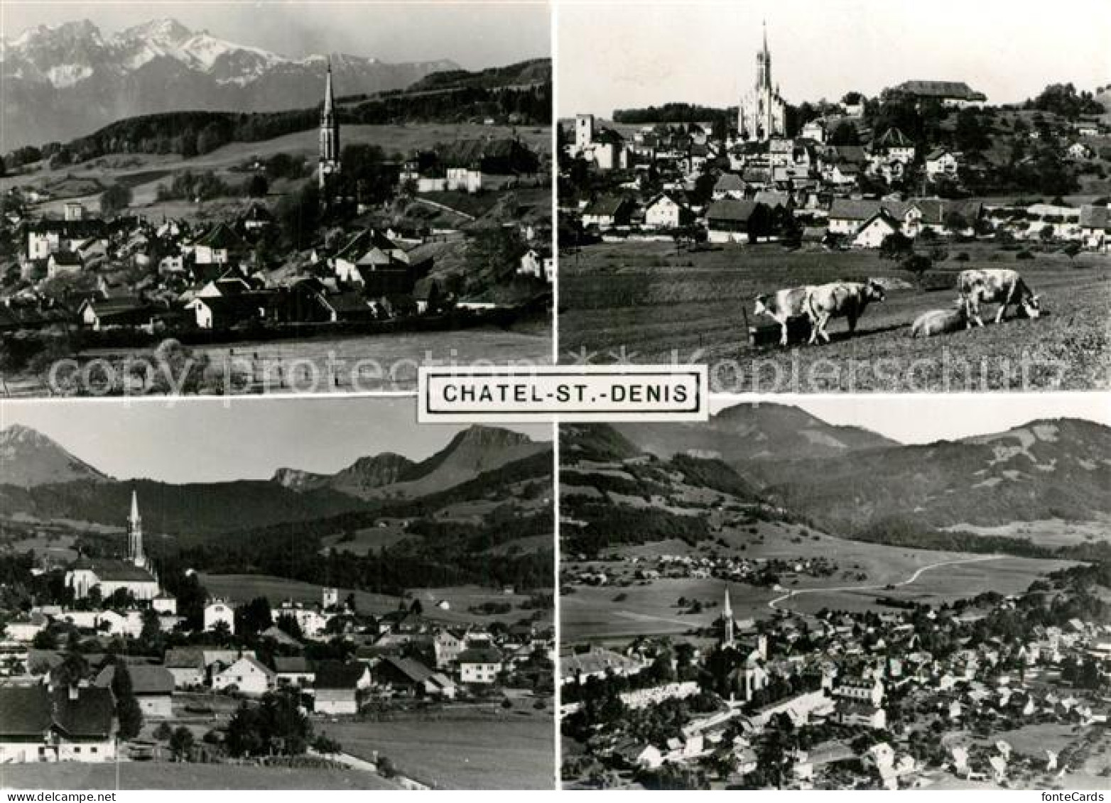 13296011 Chatel-St Denis Fliegeraufnahmen Kuehe Chatel-St Denis - Andere & Zonder Classificatie