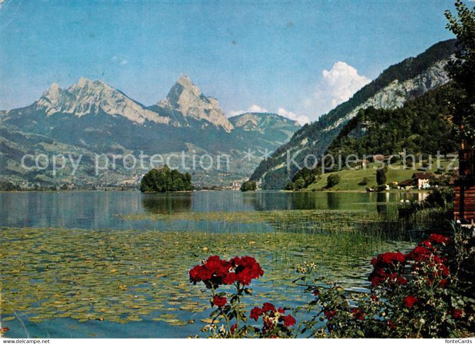 13293654 Lauerz Uferpartie Am Lauerzersee Mit Mythen Schwyzer Alpen Lauerz - Other & Unclassified