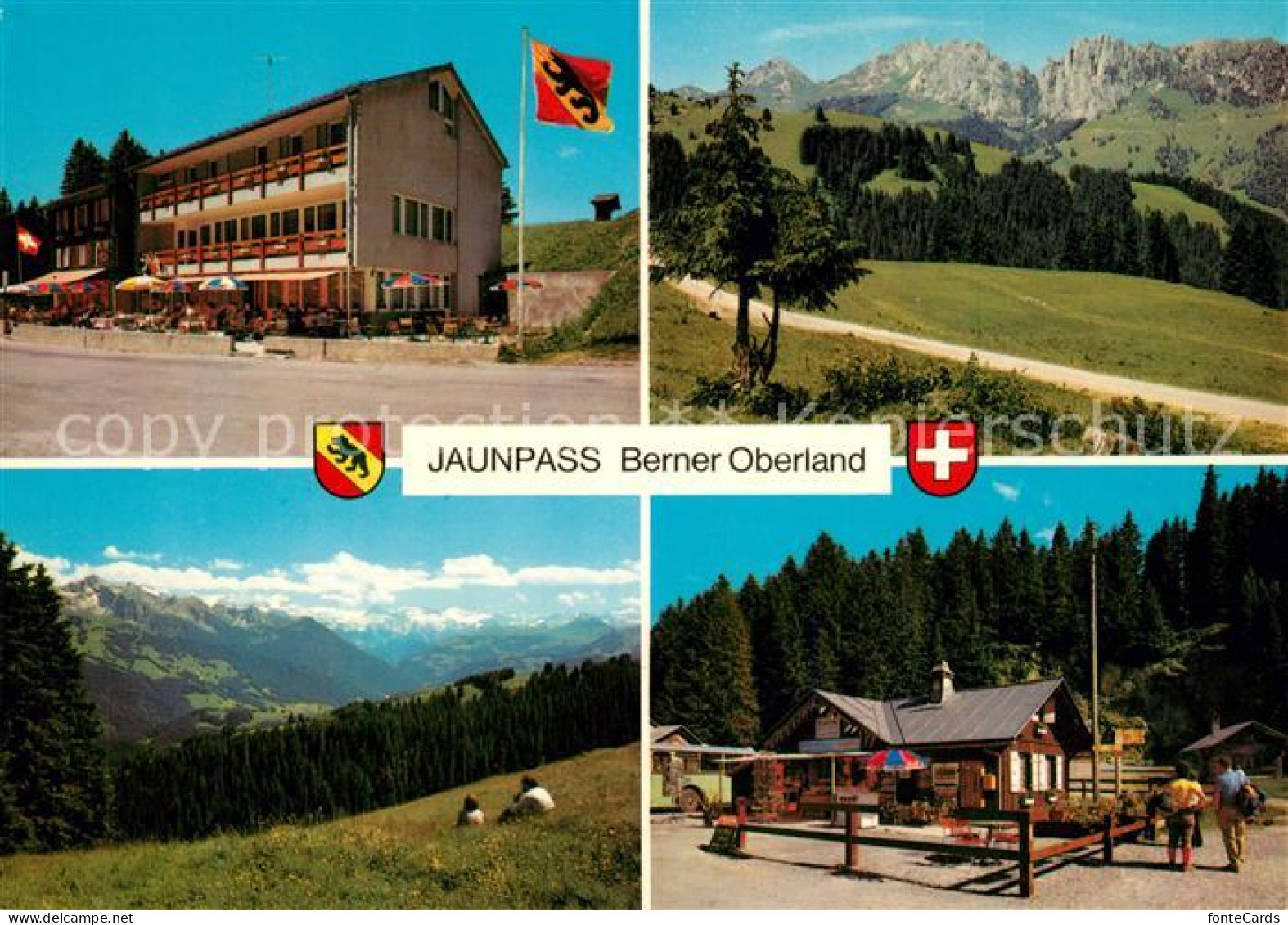 13281918 Jaunpass Hotel Des Alpes Panorama Simmental Gastlosen Sportbazar Jaunpa - Other & Unclassified