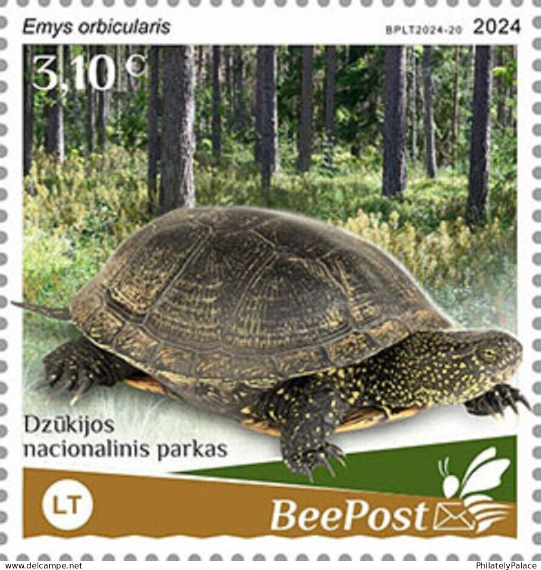 Lithuania 2024 Turtle,Dzūkija National Park,Beepost, Tortoise Family, 1v Mint, MNH (**) - Lituania